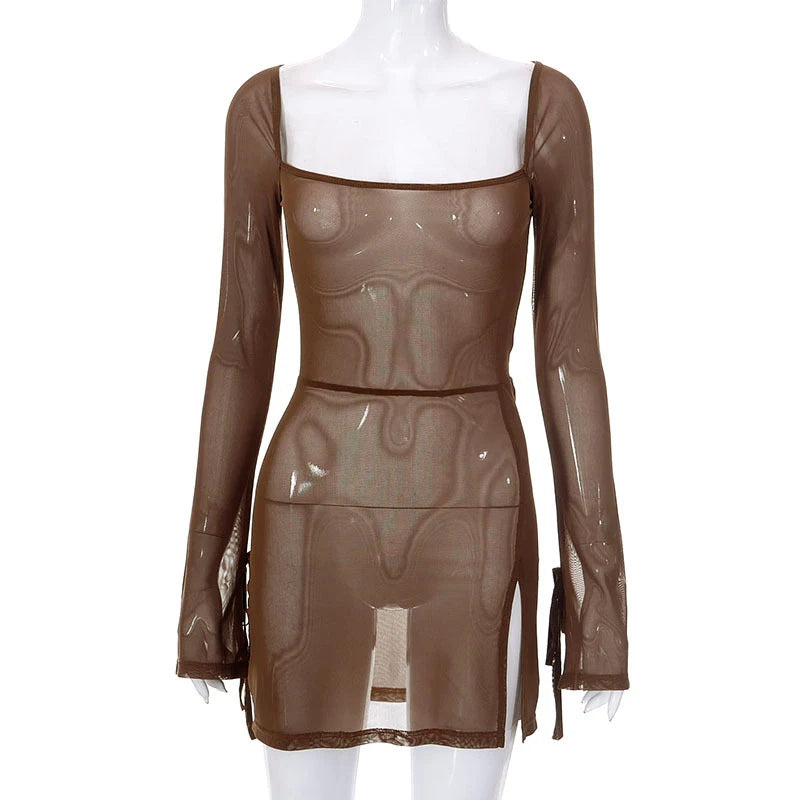 Square Collar Sheer Long Sleeve Mini Dress