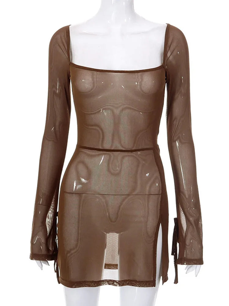 Square Collar Sheer Long Sleeve Mini Dress